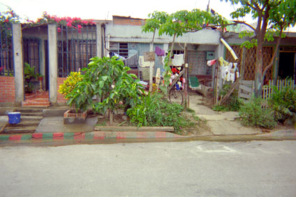 313-11.jpg