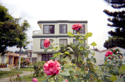 346-0.jpg