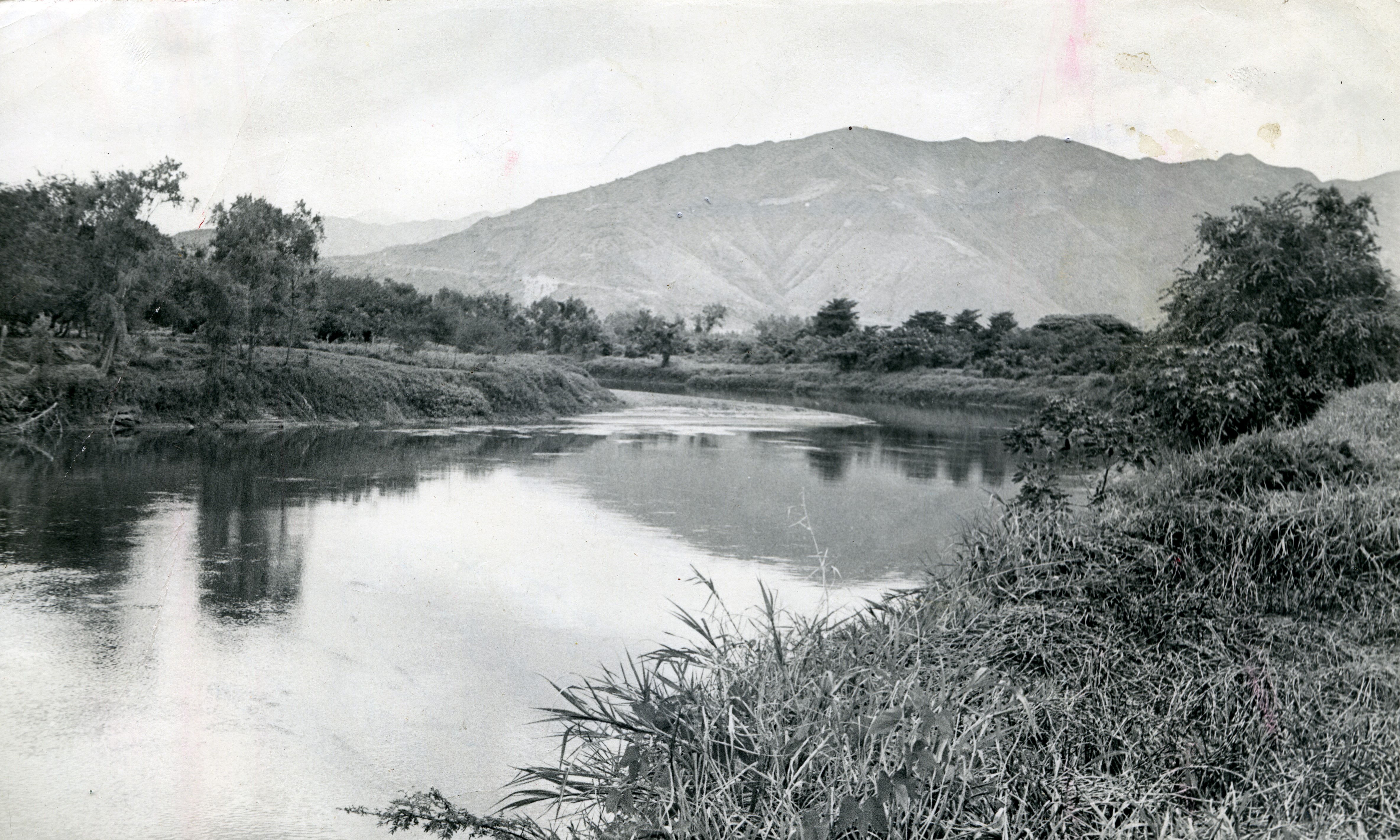 Fdo015885.jpg