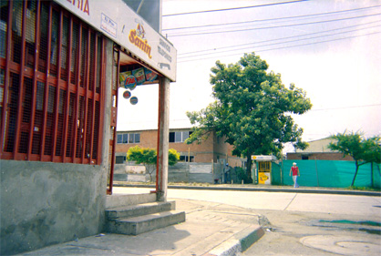 089-9.jpg