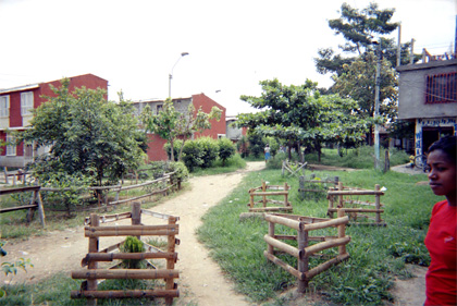 469-11.jpg