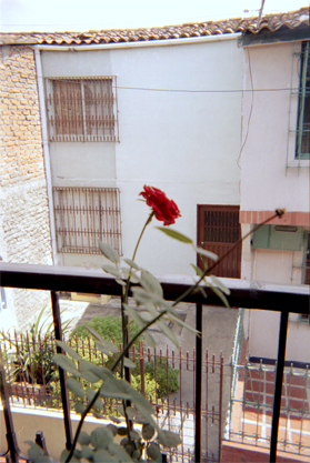 280-25.jpg