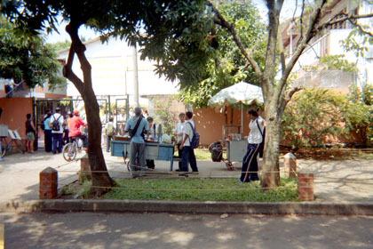 226-3.jpg