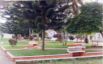 Miniatura