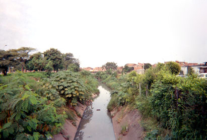283-9.jpg