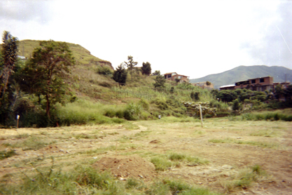 002-1.jpg