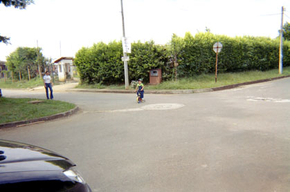 342-6.jpg