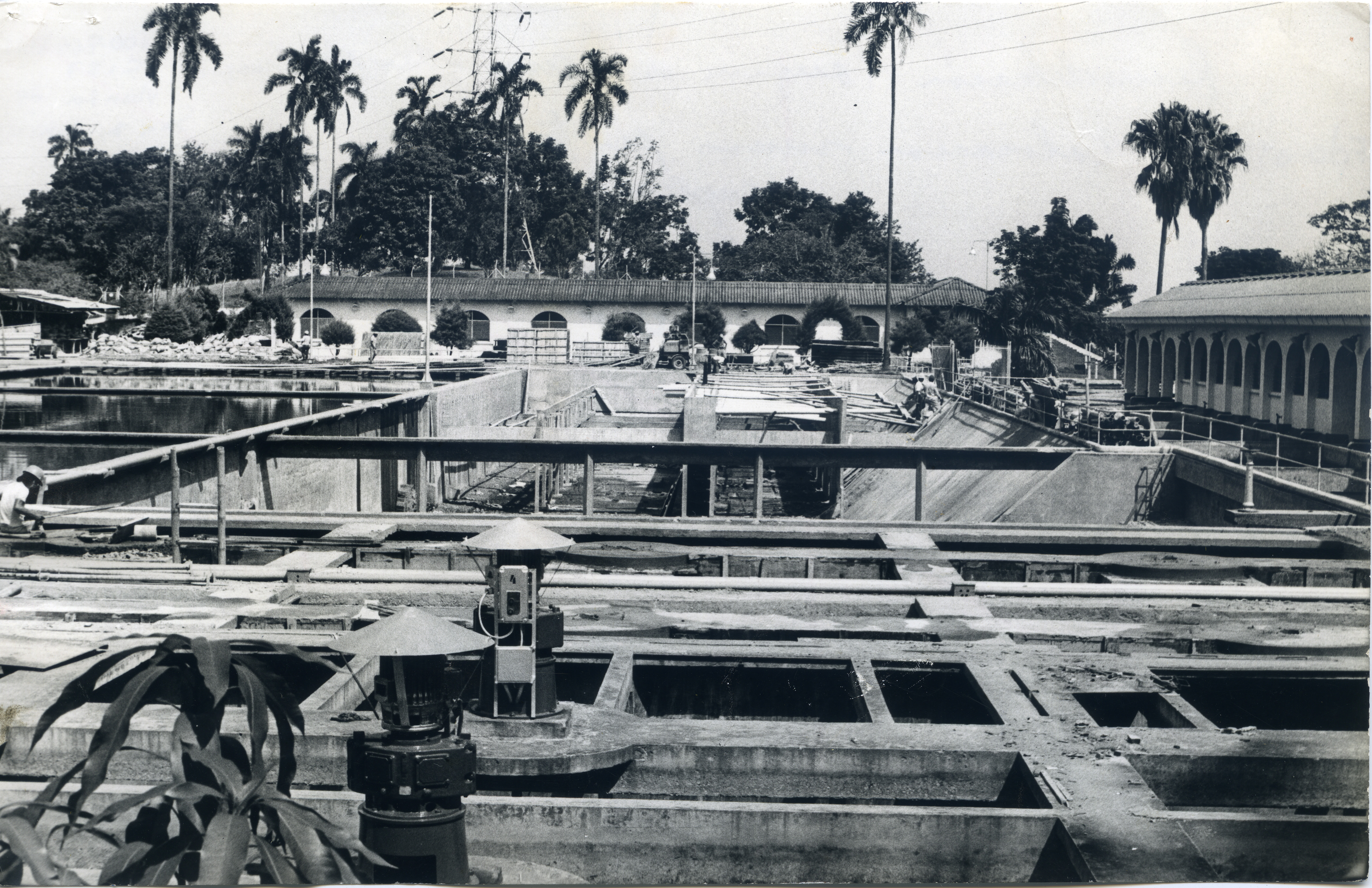 Fdo012801.jpg