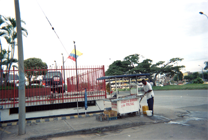 433-10.jpg