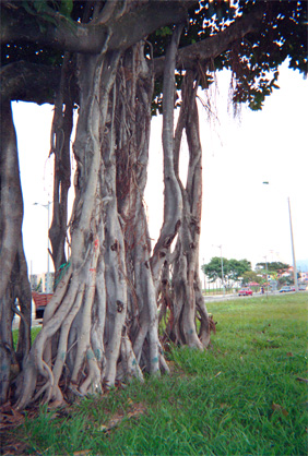 104-13.jpg