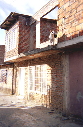 012-25.jpg