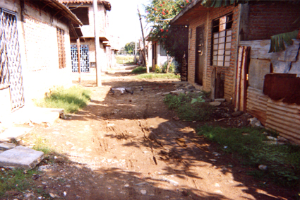 477-27.jpg