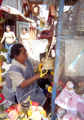 062-11.jpg