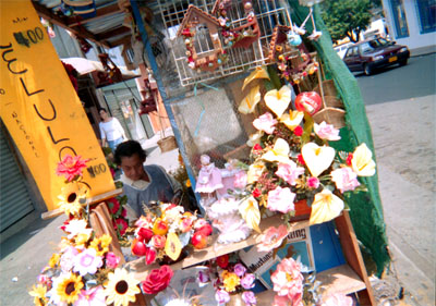 062-13.jpg