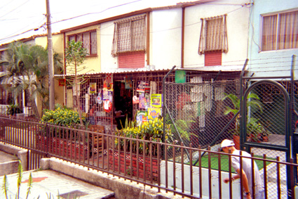 033-10.jpg
