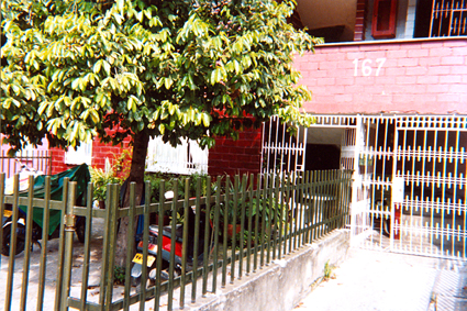 517-33.jpg