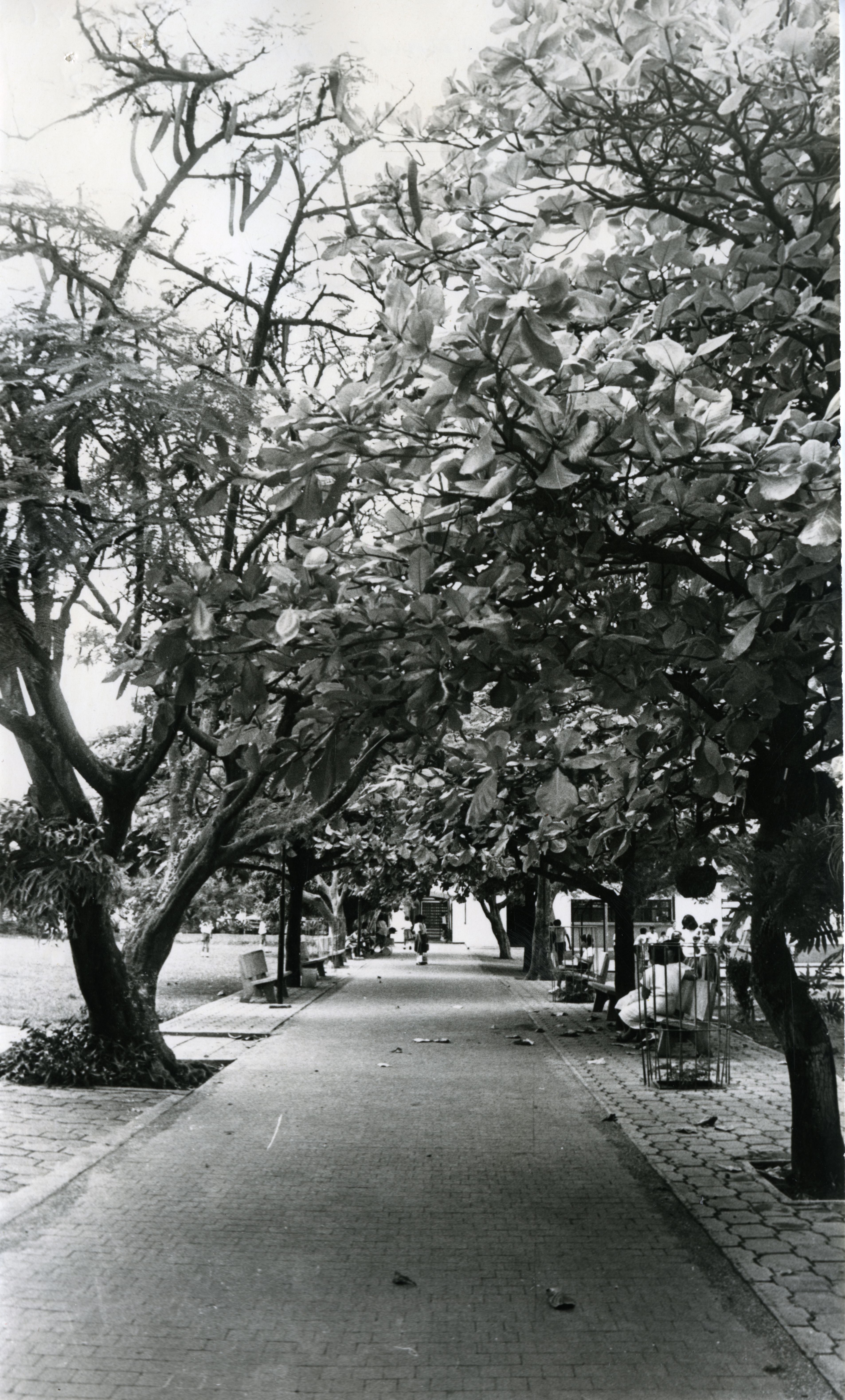 FDO023919.jpg