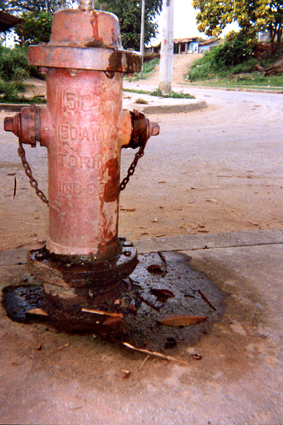 483-11.jpg
