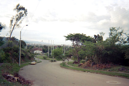 381-1.jpg