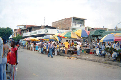 278-19.jpg