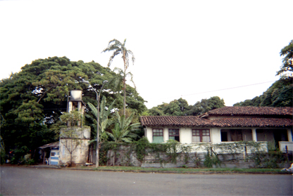 354-9.jpg