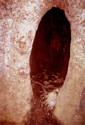 006-10.jpg