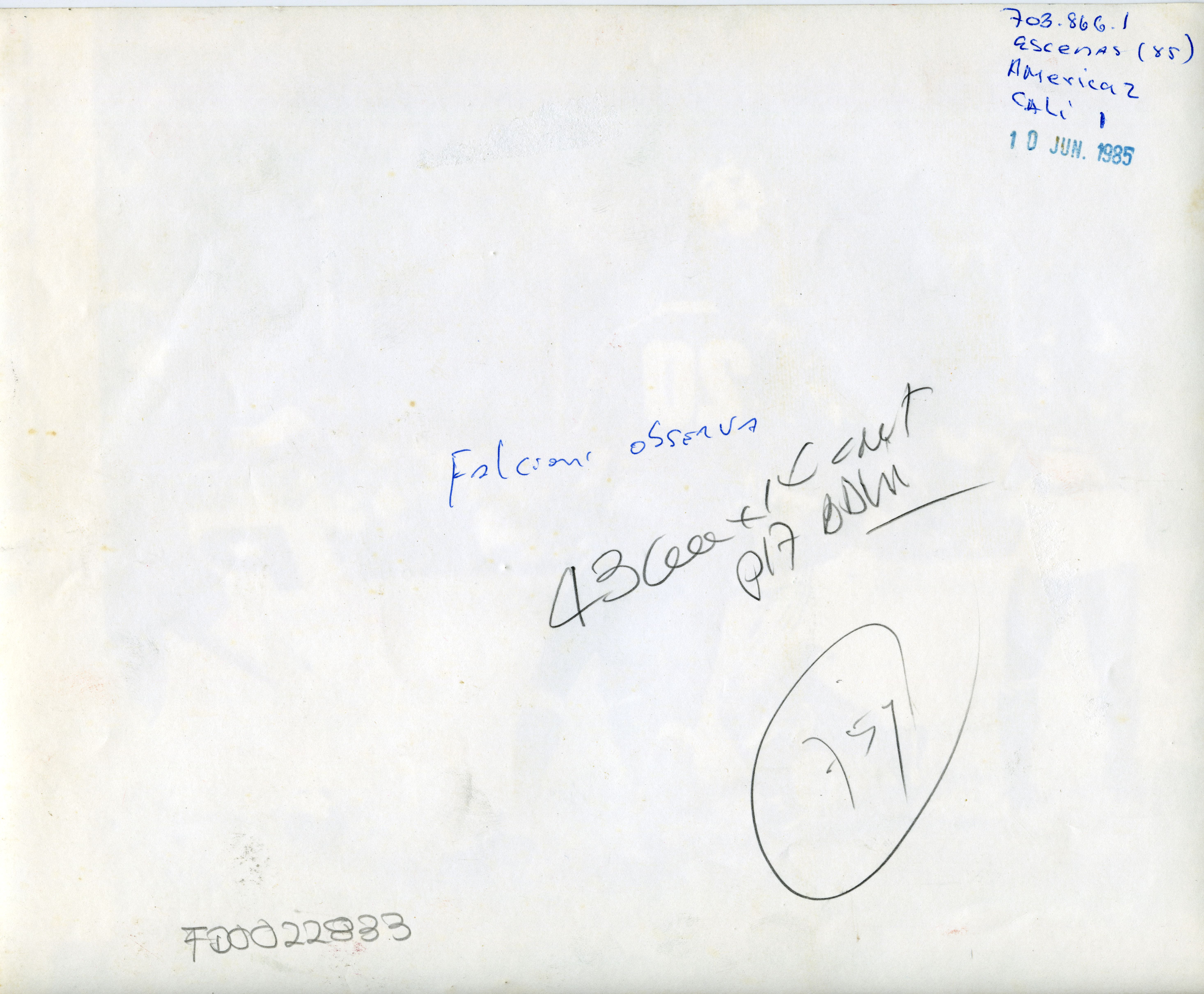 FDO022833A.jpg