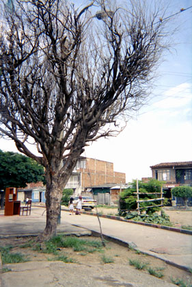 250-4.jpg