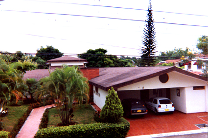 495-7.jpg