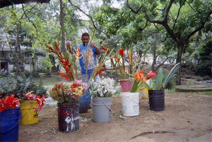 018-8.jpg
