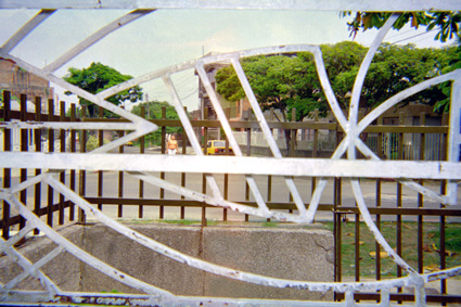 175-0.jpg