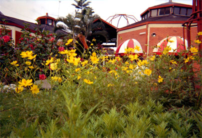 046-8.jpg