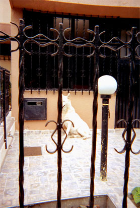 032-13.jpg