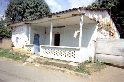 381-31.jpg