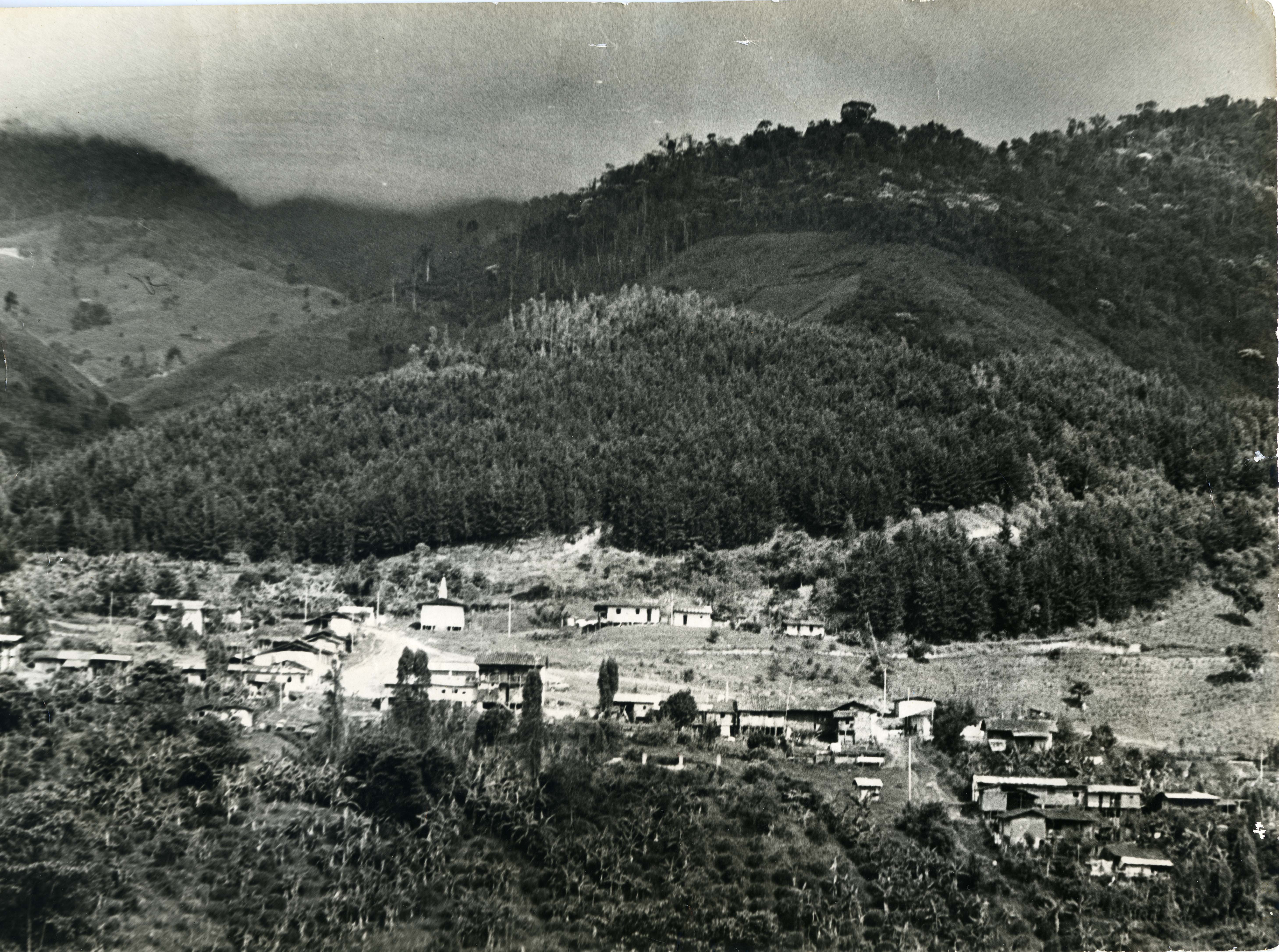 Fdo 0010427.jpg
