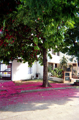 442-13.jpg