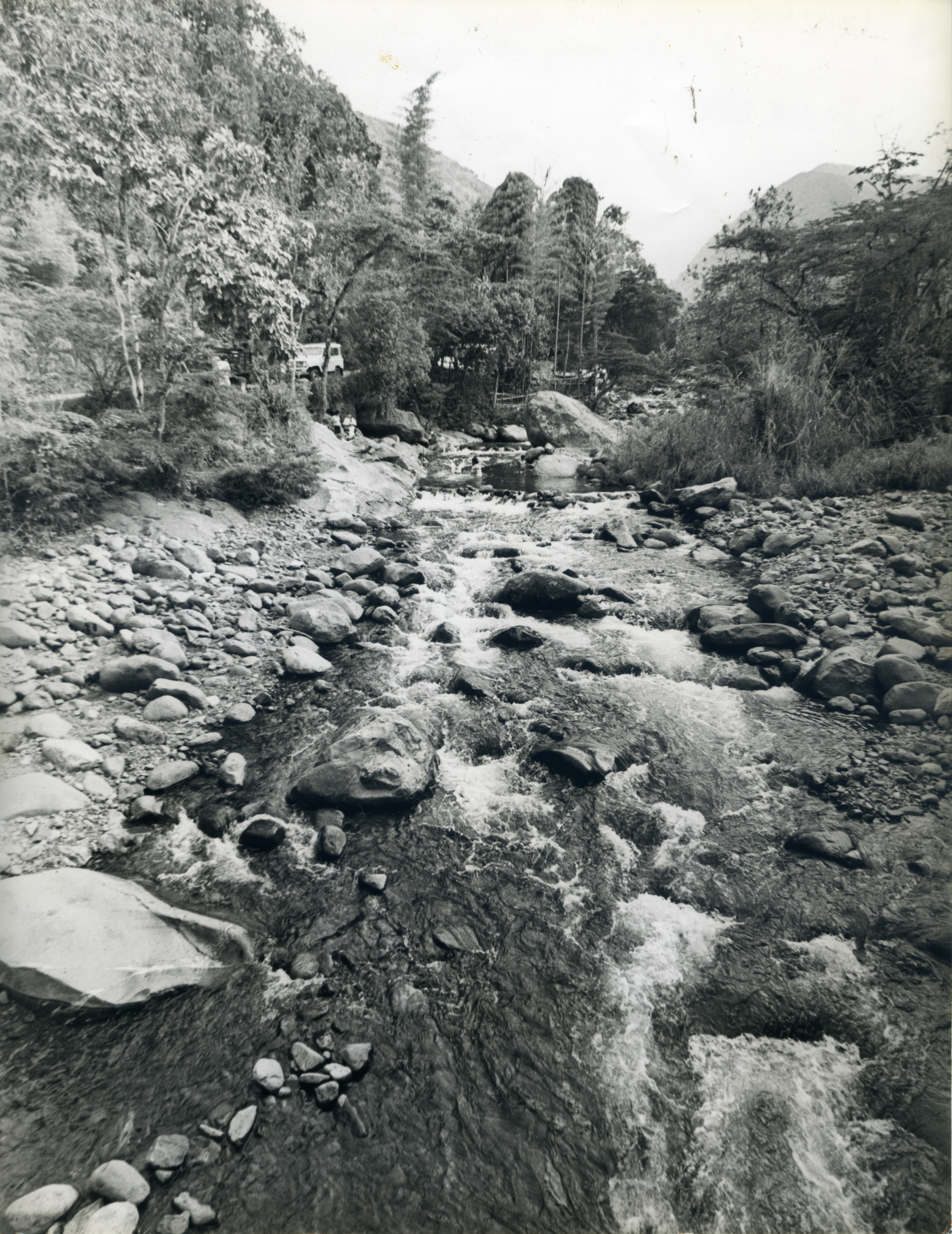 Fdo012605.jpg