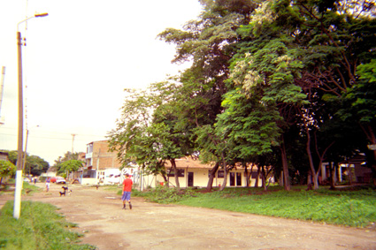 087-19.jpg