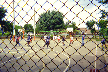 263-10.jpg