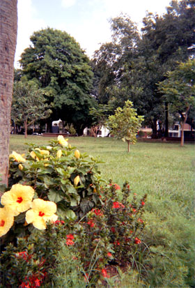 068-23.jpg