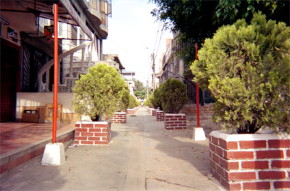 139-24.jpg