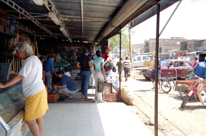 278-23.jpg