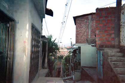 388-13.jpg