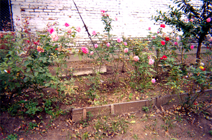 169-3.jpg