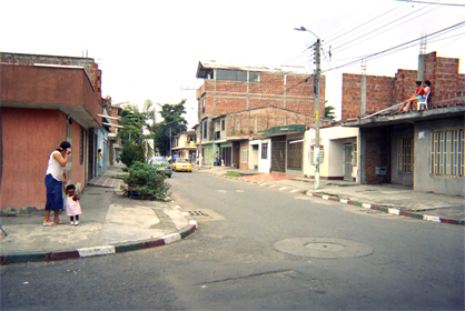 244-15.jpg