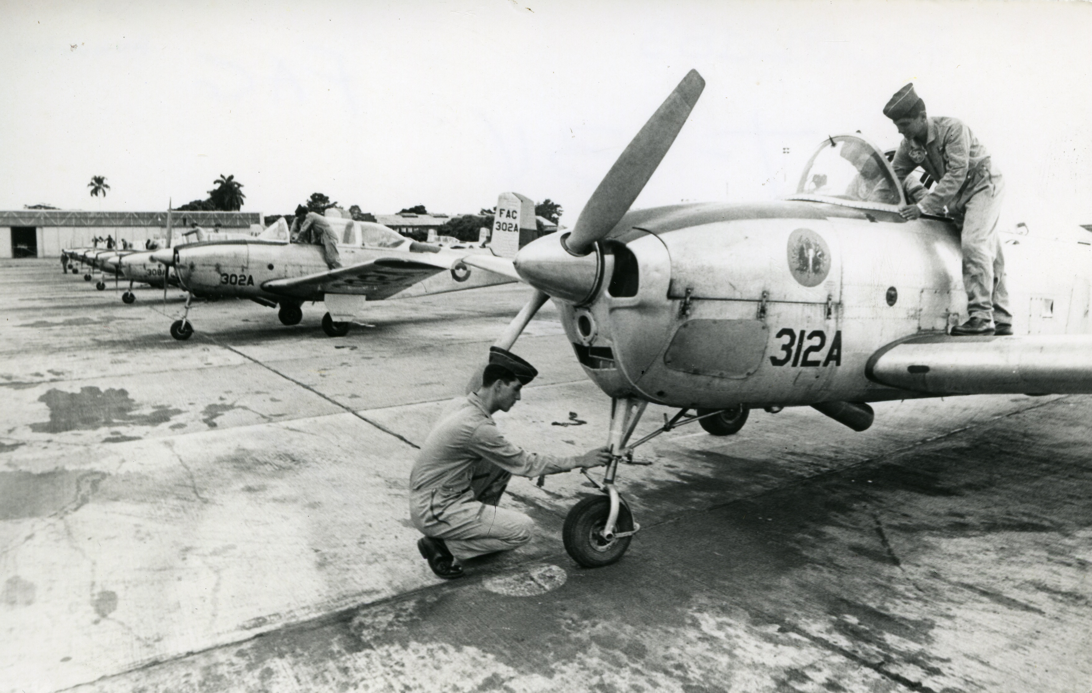 Fdo016183.jpg