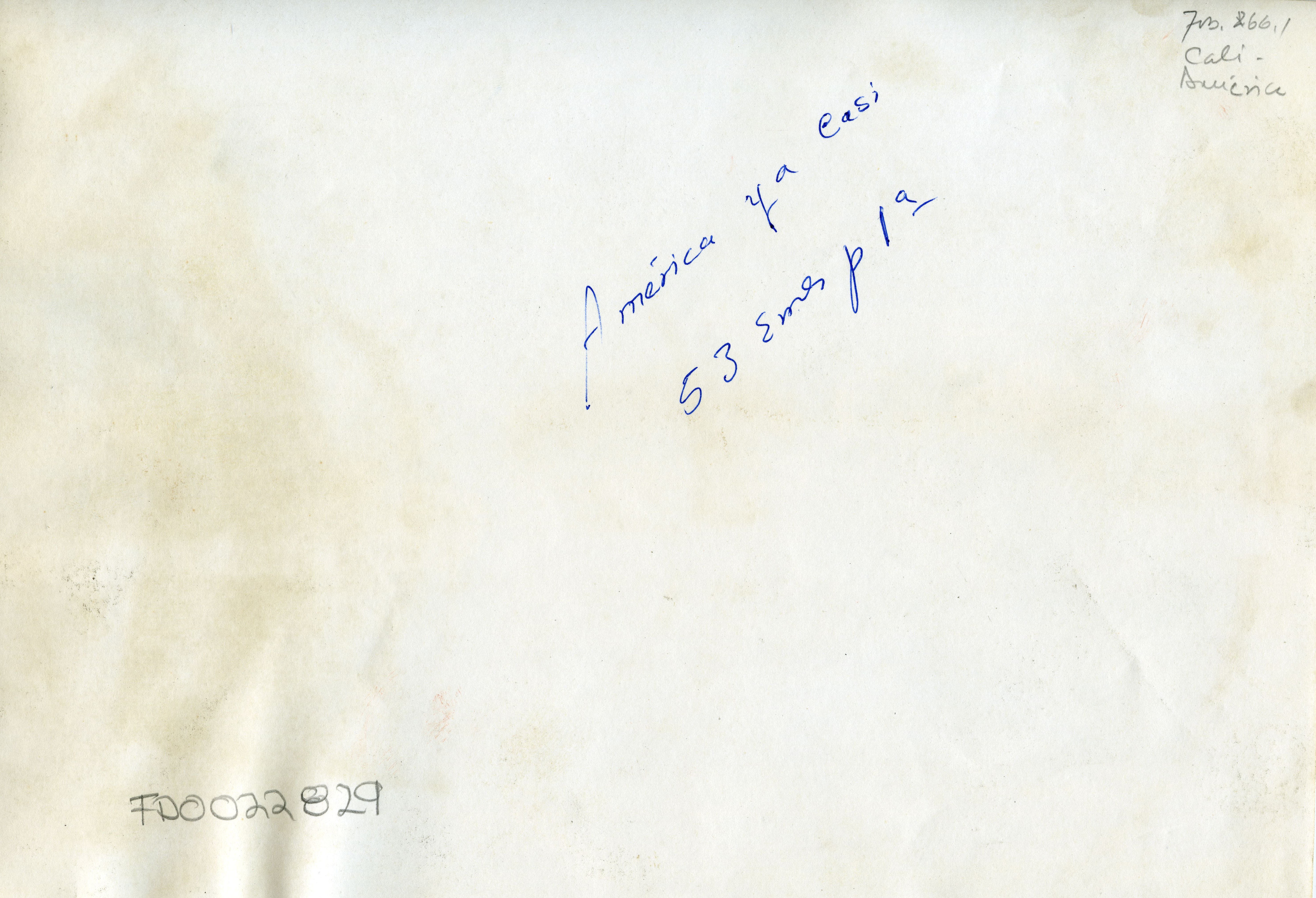 FDO022829A.jpg
