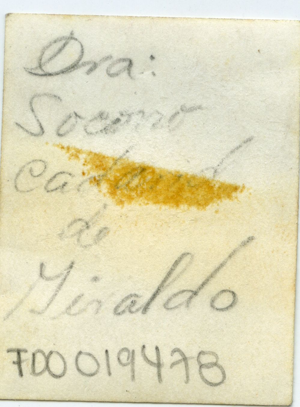FDO019478A.jpg