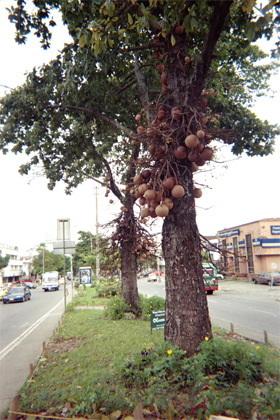 419-8.jpg