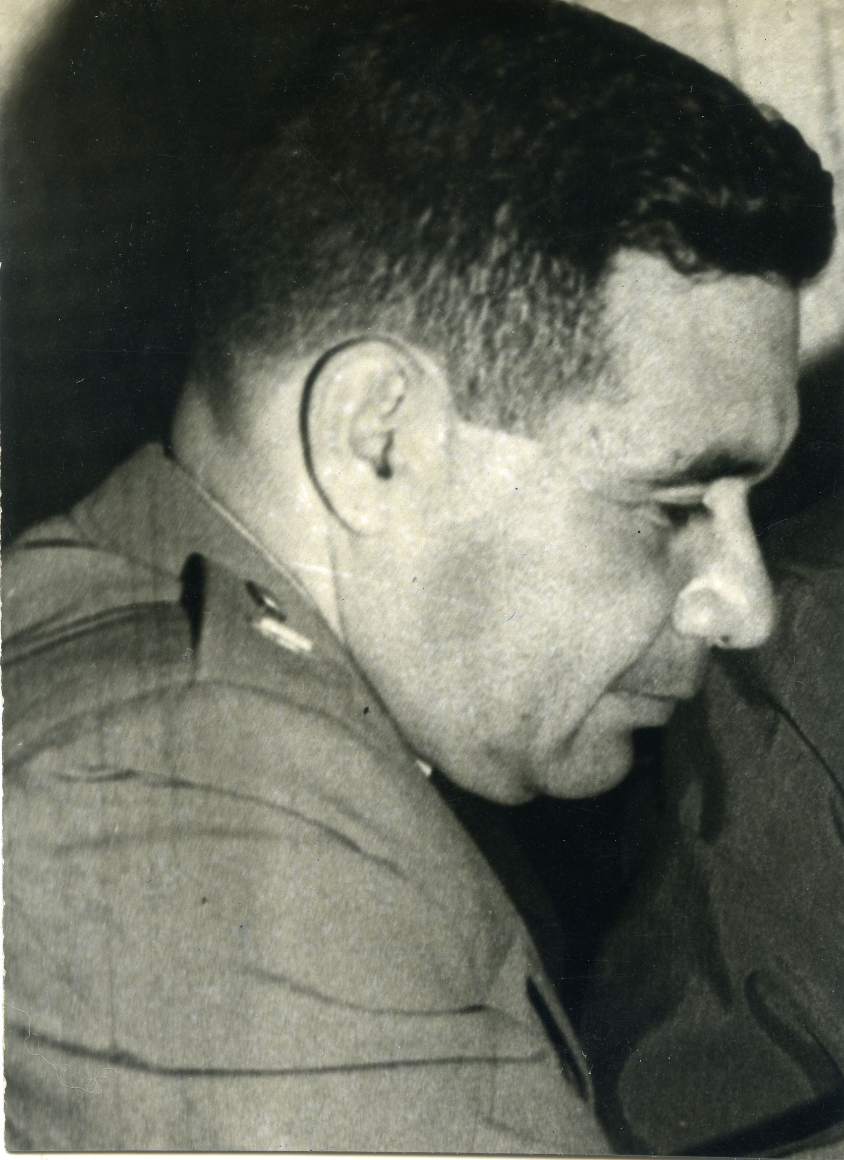 FDO019024.jpg